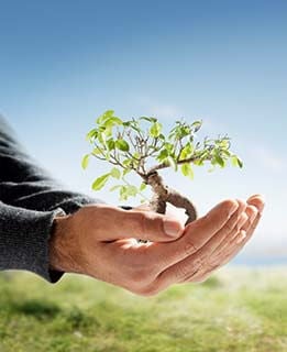 The future of green investment 