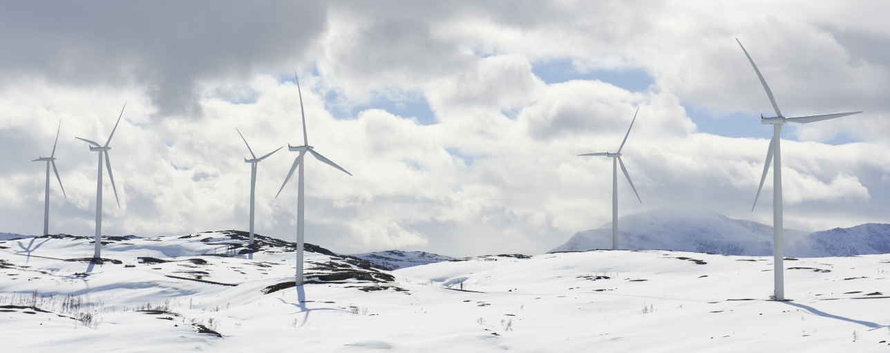 Observations of cold climate wind farm development