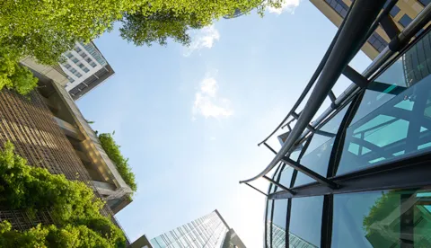 Finance in a zero-subsidy world