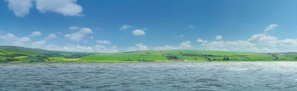 DNV GL – Energy: COVID-19 Information