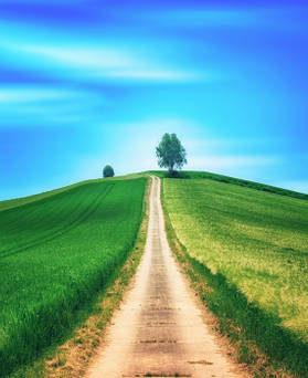 COVID-19 + clean energy - podcast