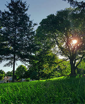 Building back better - podcast