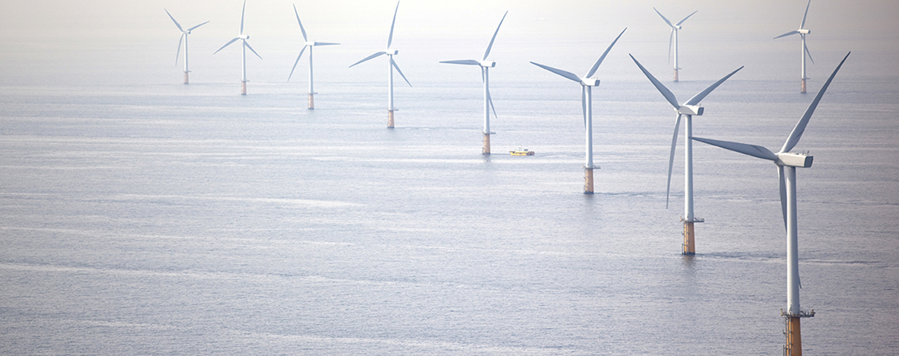 Tropical Storm Isaias: What did it mean for the NY Bight?