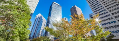 DNV GL and WattTime Announce Strategic Partnership