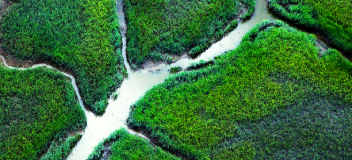 Decarbonization demands decoupling the utility business model