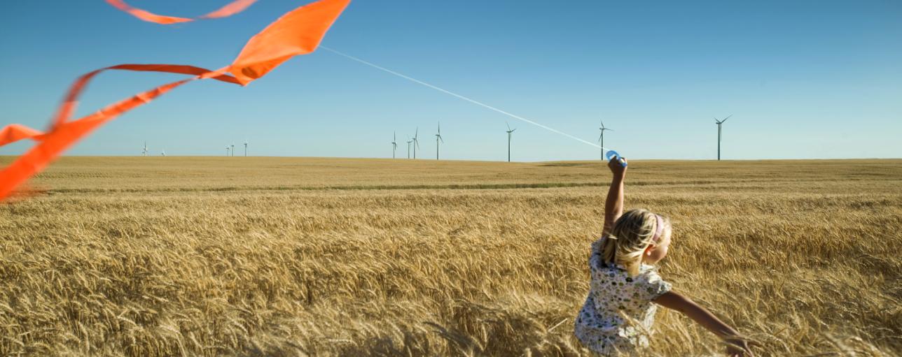 Green energy procurement strategy