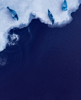 Five ways we can transition faster - podcast