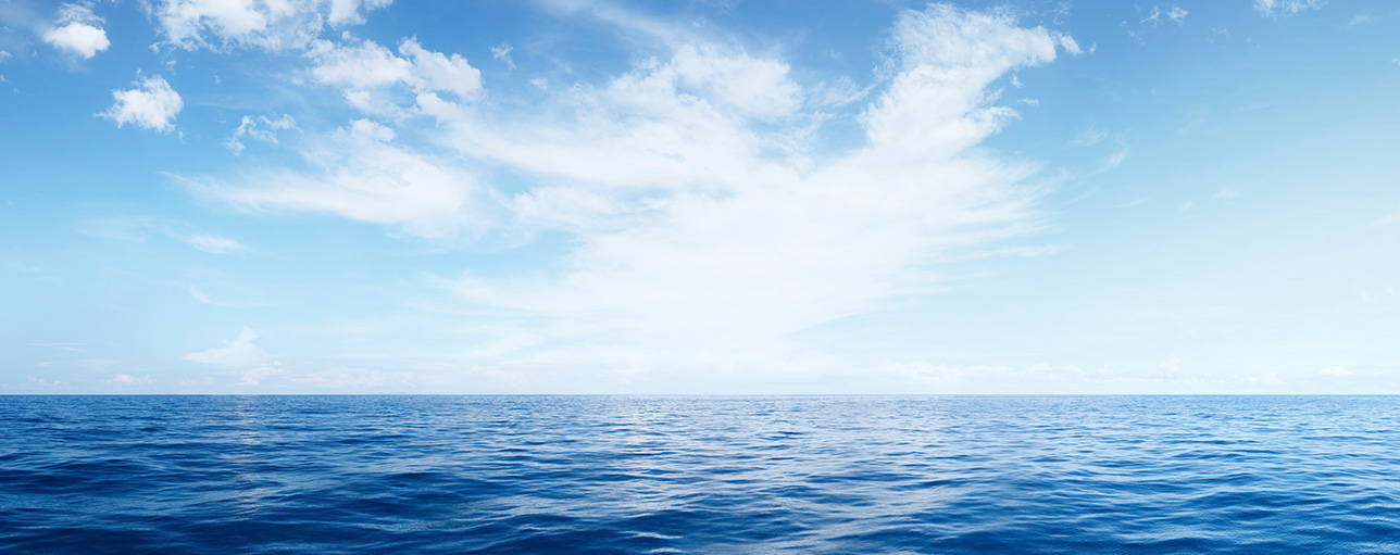 What does the future hold?