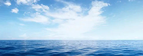 What does the future hold?