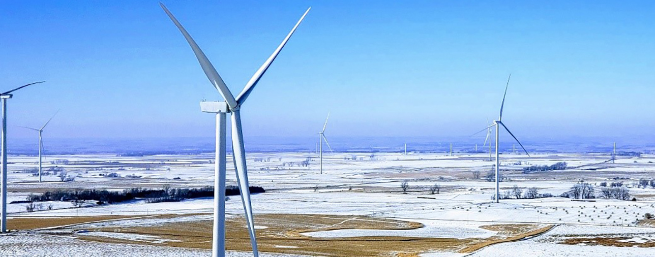 More on how to lose your shirt (or not!) in a Texas winter