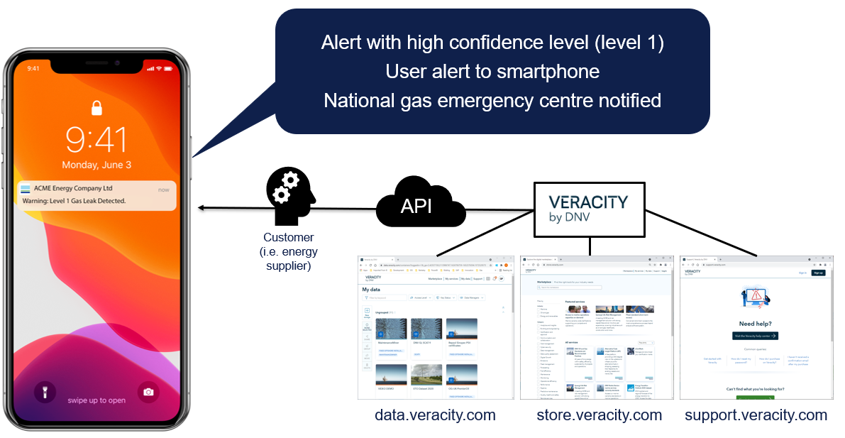 Using smart meter data to drive improvements in gas safety - Figure 4: API solution architecture that enables multiple users access to the leak detection algorithms