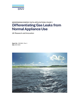 Differentiating Gas Leaks from Normal Appliance Use