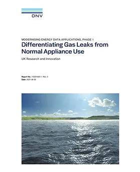 Differentiating Gas Leaks from Normal Appliance Use