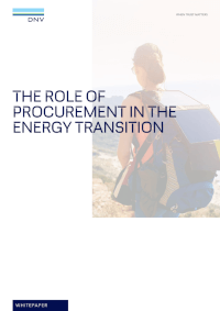 The role of procurement in the energy transition