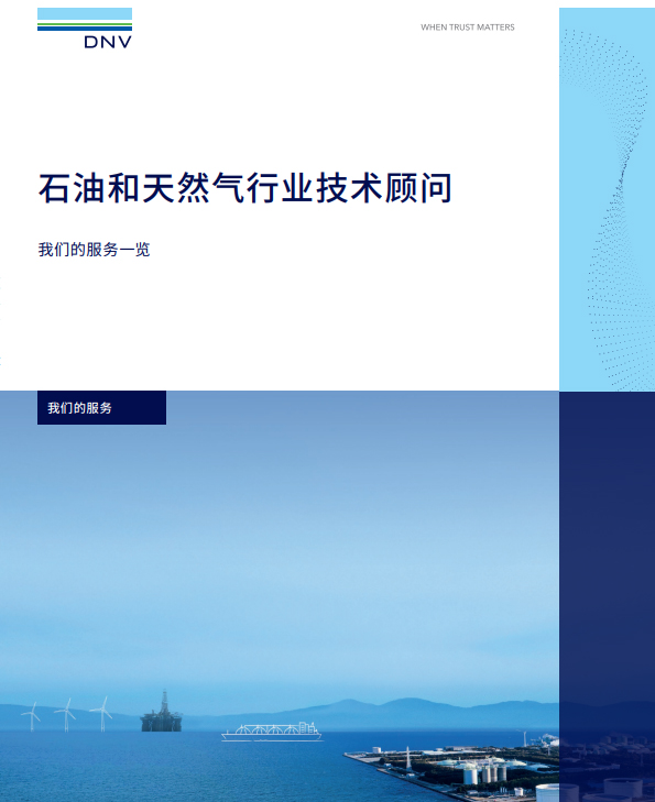 Technical advisor - Oil and gas services at a glance - 石油和天然气行业技术顾问