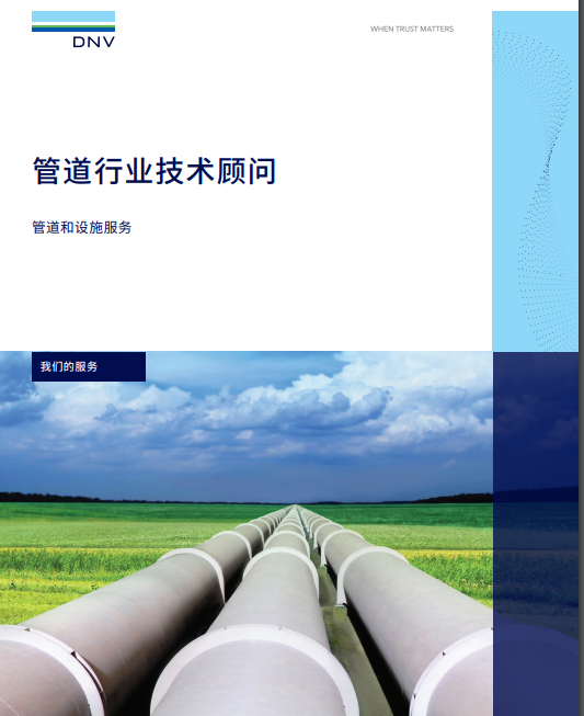 Technical advisor - pipelines and facilities services - 管道行业技术顾问
