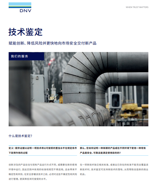 Technology qualification - 技术鉴定