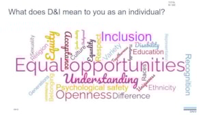 slide on what diversity and inclusion means