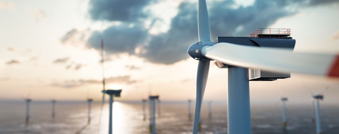 Stefanie Bourne AWAW