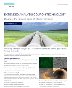 Extended analysis coupon technology