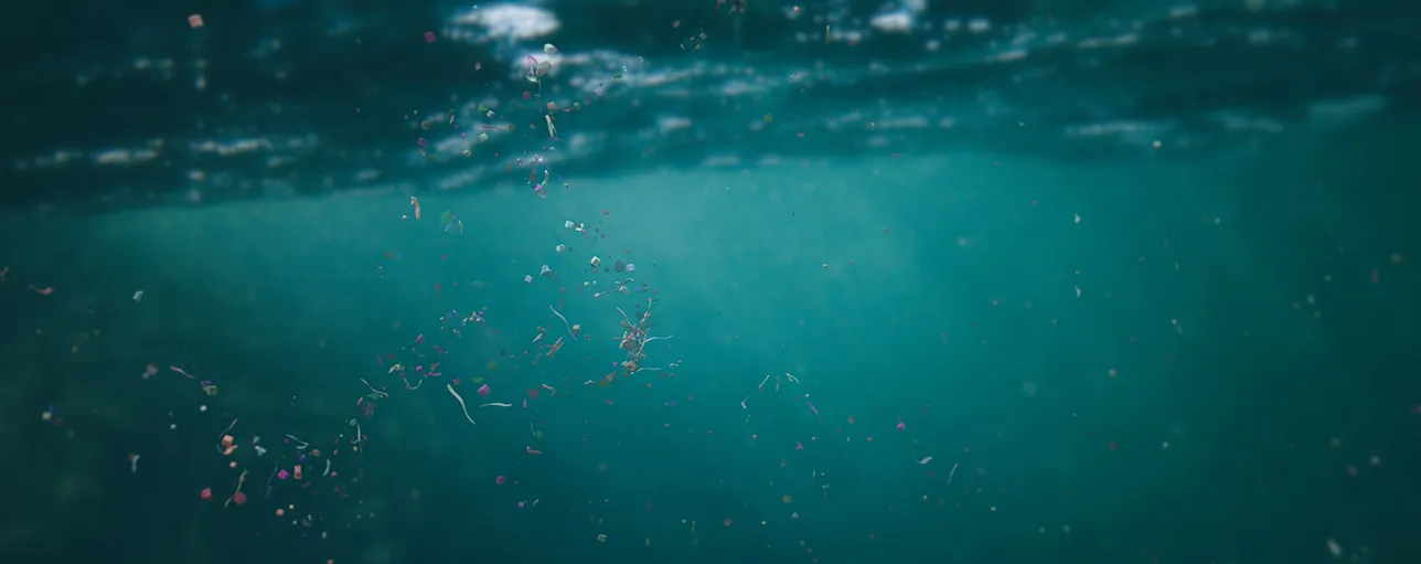 Microplastics in the ocean