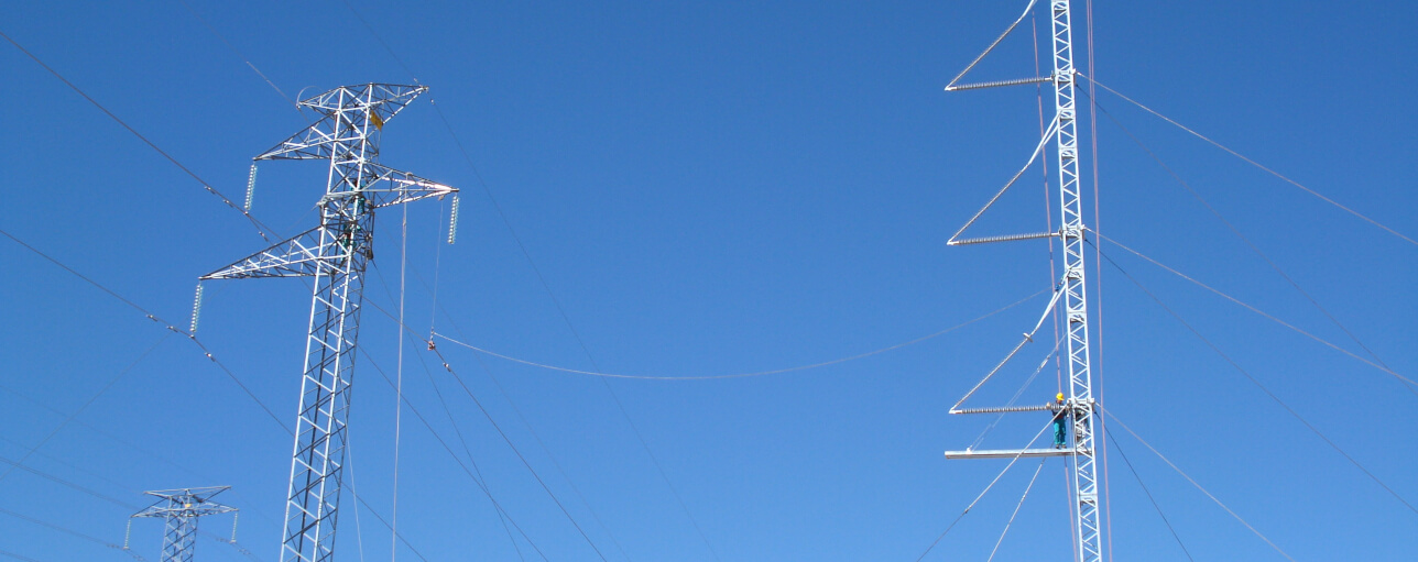 Elia risk mitigation