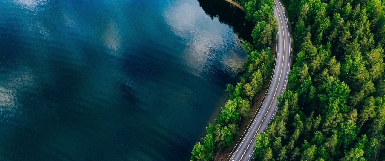 Road in the forest along lake