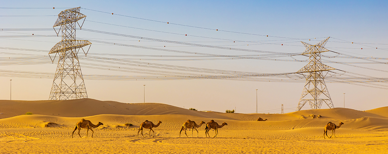 The challenges to transition in the fossil-rich Middle East and North Africa