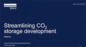 Streamlining CO2 storage development