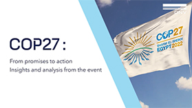 COP27: From promises to action - Insights and analysis from the event (on-demand webinar)