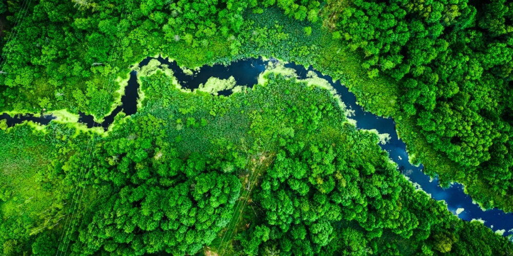 ISO 14067 產品碳足跡查證