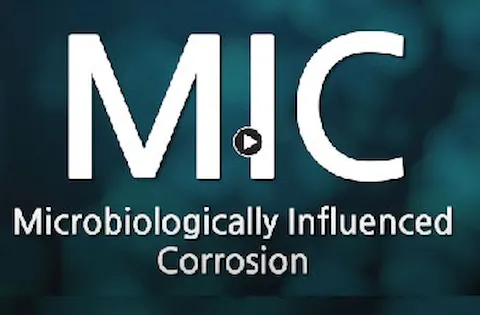 The mechanism of microbiologically influenced corrosion (MIC)