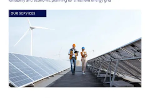 Power System Planning