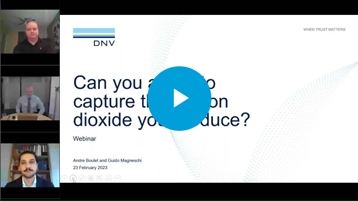 Can you afford to capture the carbon dioxide you produce? Essential information for emitters