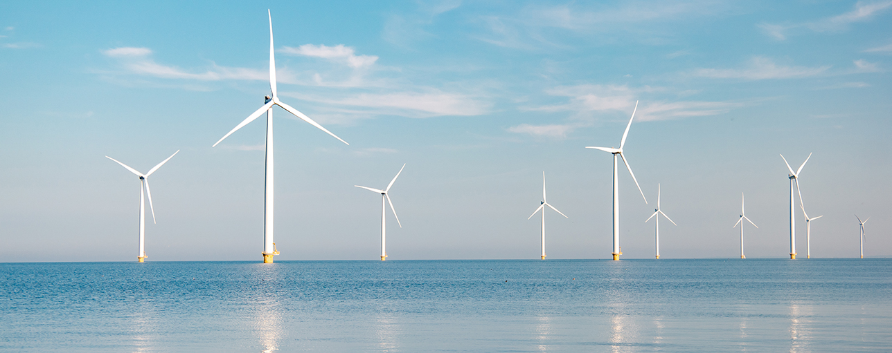 Offshore wind farm