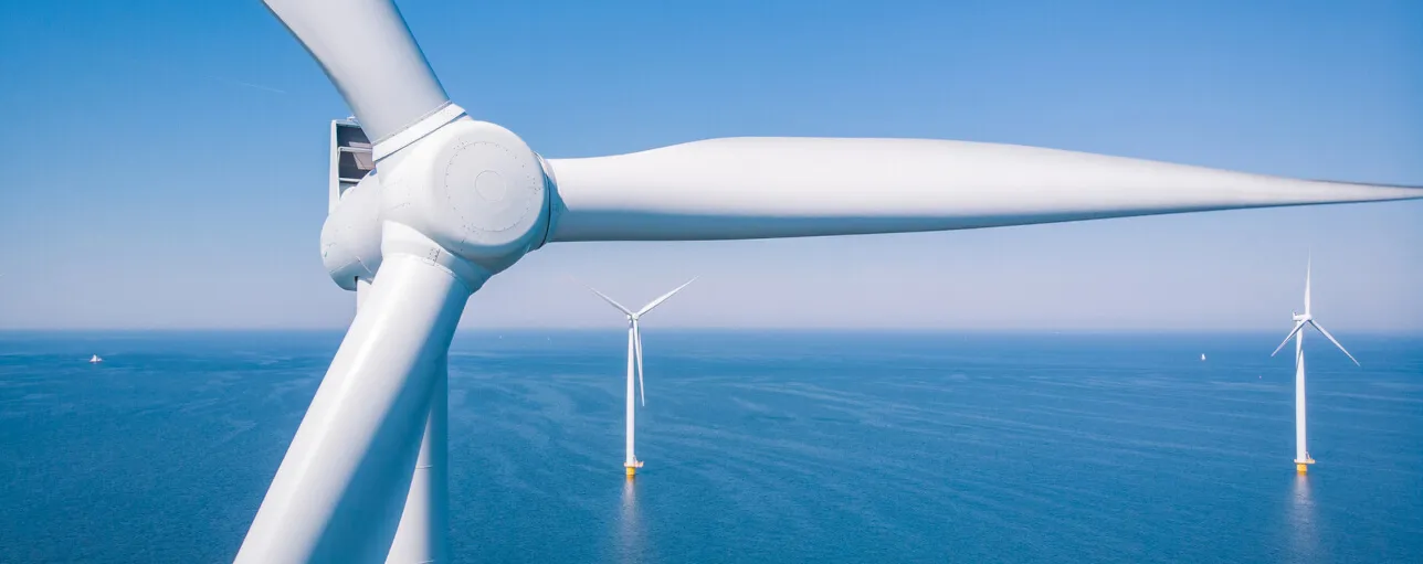 Entrion Wind statement of feasibility