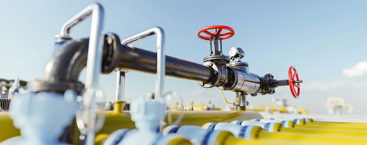 Common Planning Pathway webinar