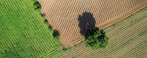 Aerial view of farmland