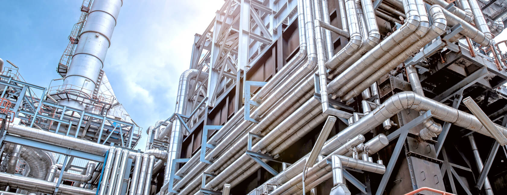 Culture revolution report