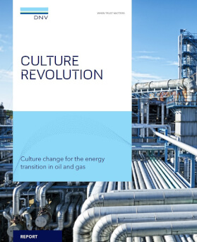 Culture revolution report