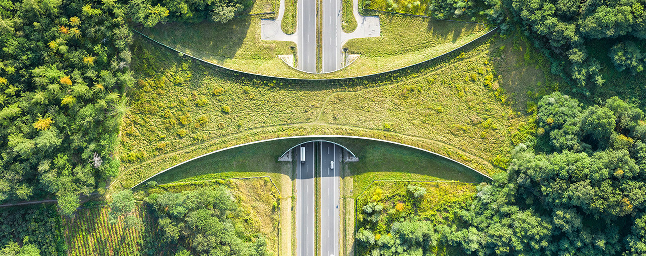 bridges and bottlenecks to net zero