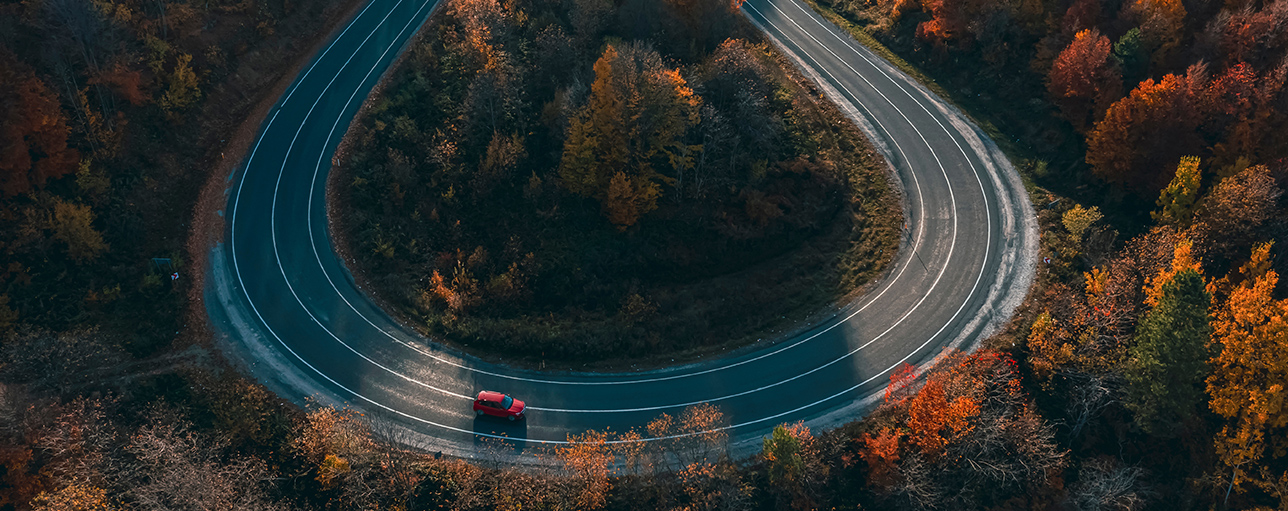 System inertia undermines the near-term pace of decarbonization