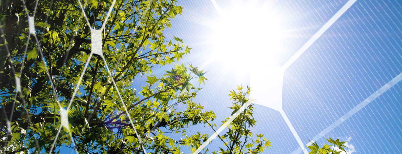 Why DNV chose Solcast