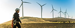 A guide to wind farm performance optimization