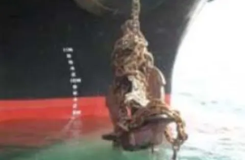 Download the full article