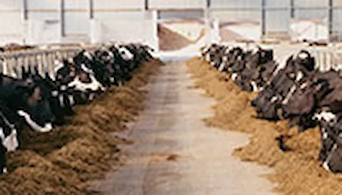 Animal Feed & Ingredients - GMP+ FSA, FAMI-QS and FSSC 22000