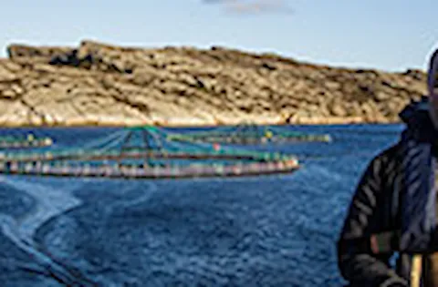 Aquaculture Stewardship Council standards  (ASC)