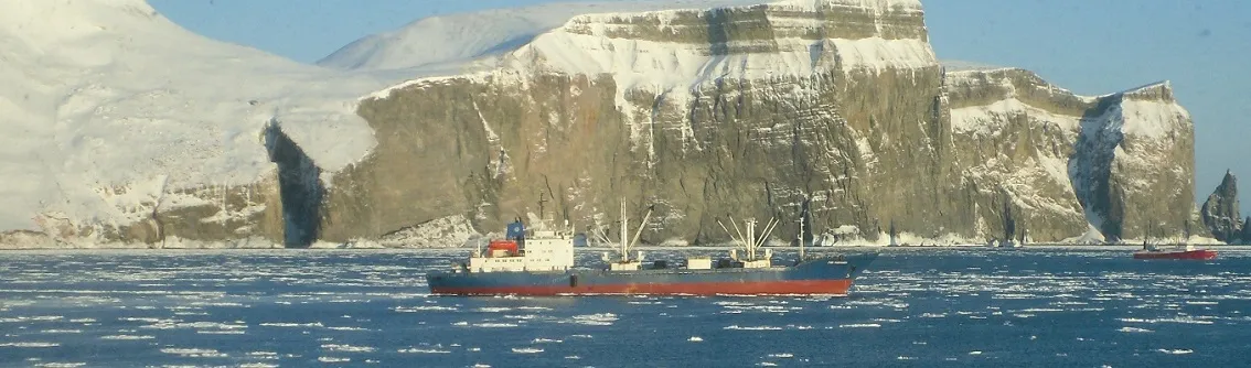 Arctic shipping
