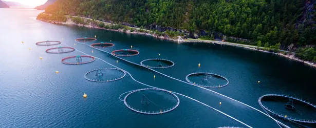 Barrier management - Enabling sustainable fish farming