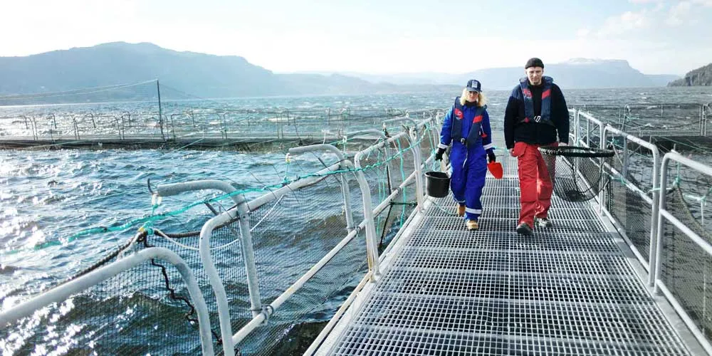 Fish farm workers